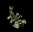 1390638w6wczx9fwr.gif