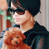 tisdale madona christina alguilera jeese mcarteychris brownrihannajonas brothers glitter-graphics glitter-graphics