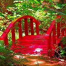 http://dl8.glitter-graphics.net/pub/1940/1940438ozaxu91hv2.jpg