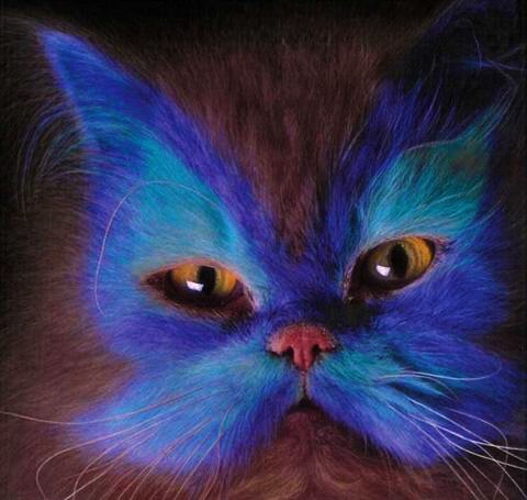 myspace layouts, myspace codes, glitter graphics