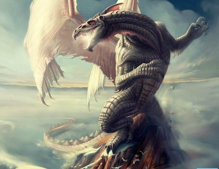 Fantasy Dragons 