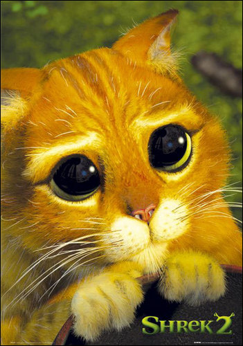 myspace layouts, myspace codes, glitter graphics