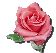 435118srikeqze27.gif