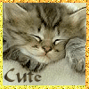 CuteAnimals2Group