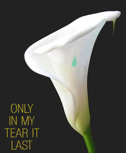 only in silence
